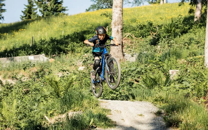 MINIS Freeride-Club